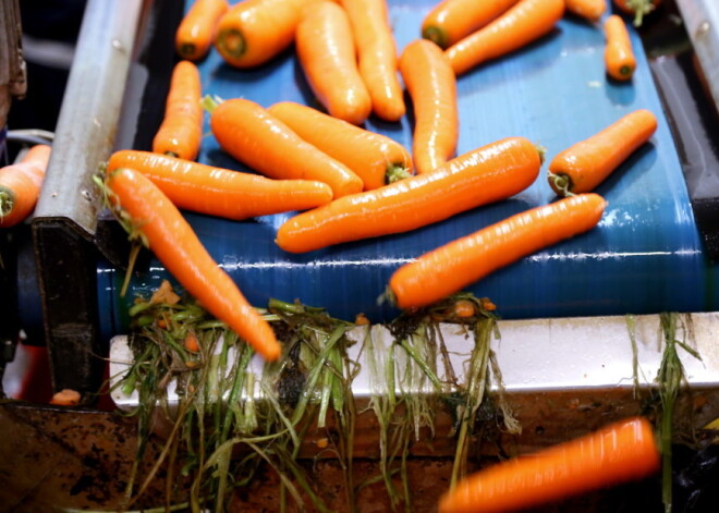 Продовольственно-ветеринарная служба разрешила цеху по переработке овощей Jelgavas augļi возобновить работу