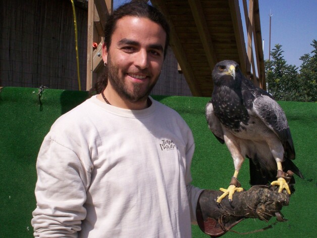 Alesandro Spānijā trenē lidojumam plēsīgos putnus, lai viņi spētu atgriezties savvaļā.