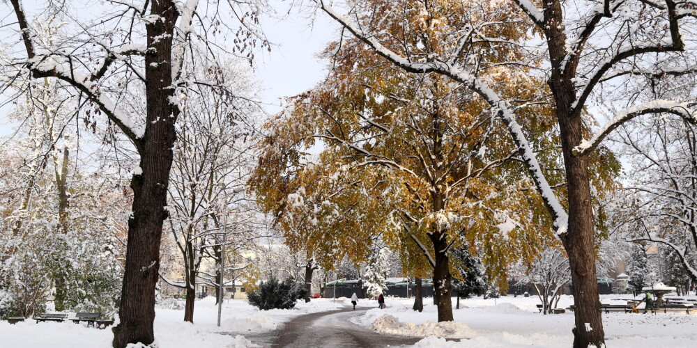 Sniega un aukstuma dēļ jau nākamnedēļ Latvijā beigsies zelta rudens