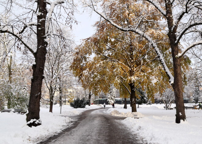 Sniega un aukstuma dēļ jau nākamnedēļ Latvijā beigsies zelta rudens