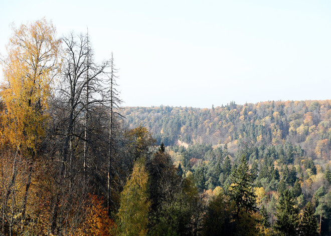 Septembra beigās Siguldu apmeklējuši aptuveni divreiz vairāk viesu nekā pērn