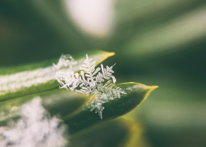 Daudzviet valstī sestdien uzsnidzis sniegs