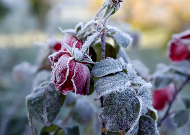 Laika prognoze otrdienai