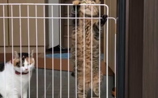 Grūtais ceļš uz brīvību.