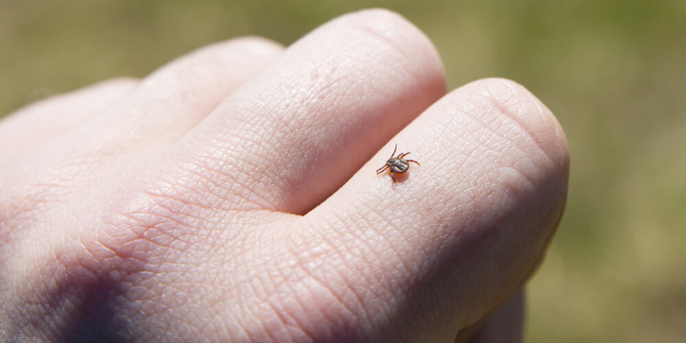 Ērču pārnests vīrusencefalīts ir vīrusu ierosināta infekcijas slimība. Tā vieglos gadījumos izpaužas kā mērens drudzis, bet smagākos gadījumos ierosina meningītu vai arī encefalītu. Galvenie izplatības reģioni pasaulē ir Baltijas valstis, Austrumeiropas ziemeļdaļa un Krievijas centrālie apgabali. Tur ērču encefalīts ir biežāk sastopams pat par Laimas slimību. Pēdējos gados ērču encefalīts izplatījies Centrāleiropā un par saslimšanas gadījumiem arvien vairāk sāk ziņot arī citas valstis. Latvijā tā ir izplatītākā neiroloģiskā infekcijas slimība