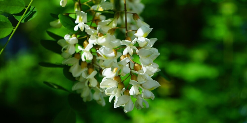 Иллюстративное фото