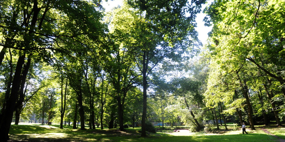 Rīgas pašvaldība Aldara parka atjaunošanai piesaistīs ES finansējumu