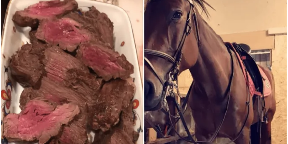 «Лучшее мясо в моей жизни»: фермершу, съевшую собственную лошадь, затравили в Сети