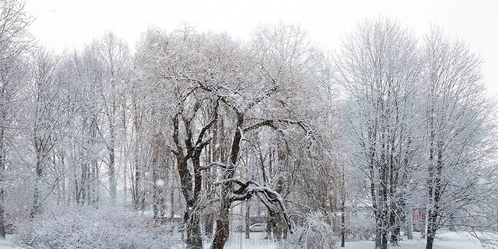 Pasaules vadošie meteorologi prognozē, kāda šogad Eiropā būs ziema