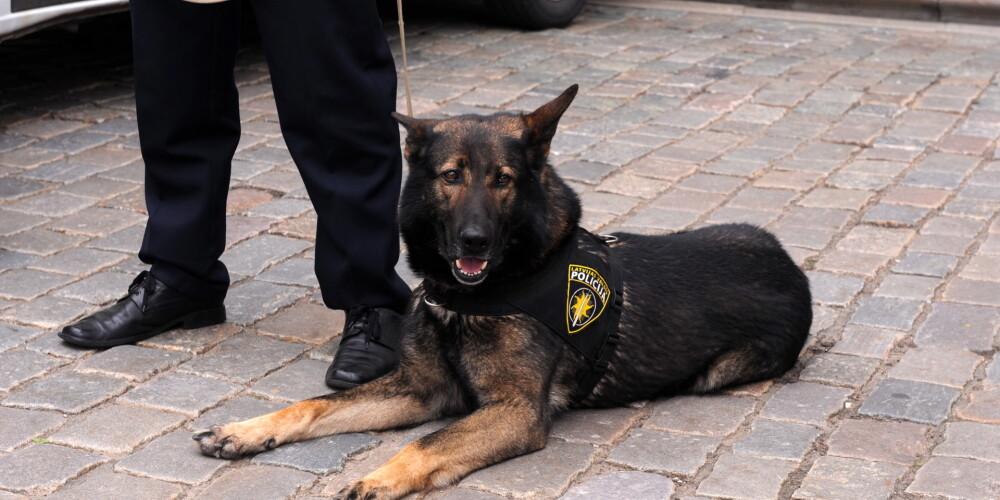 Служебная собака помогла полиции найти в Агенскалнсе метамфетамин