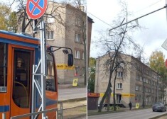 “Daugavpils satiksmes” speciālisti nolēmuši apzāģēt tramvaja kontakttīkla metāla stabu, lai tam garām varētu tikt jaunie tramvaji. Tas nekas, ja tas gāzīsies un nebūs elektrības! Pa sliedēm varēs palaist vismaz zirgu tramvaju…