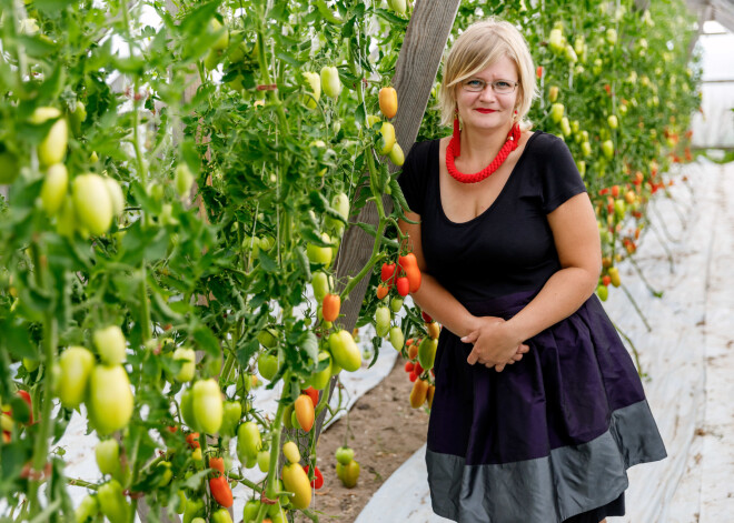 "Absolūts ēd": ciemos pie zemnieces Ilzes Lipskas, kura audzē bioloģiskos dārzeņus