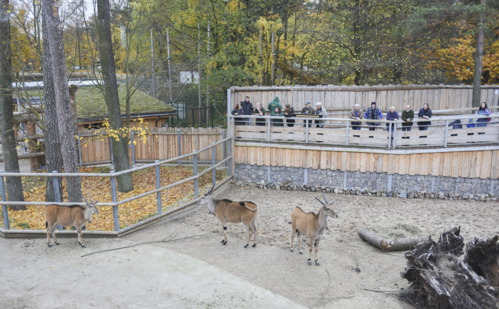 Aicina nesabiedēt Rīgas zoodārza jaunatklātajā 