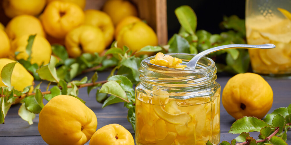 Kas jāzina par Latvijas citronu – cidoniju