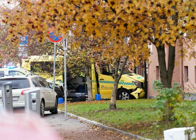 Norvēģijas galvaspilsētā Oslo bruņots vīrietis otrdien nozadzis ātrās palīdzības automašīnu un notriecis vairākus gājējus, tostarp vienu mazu bērnu.