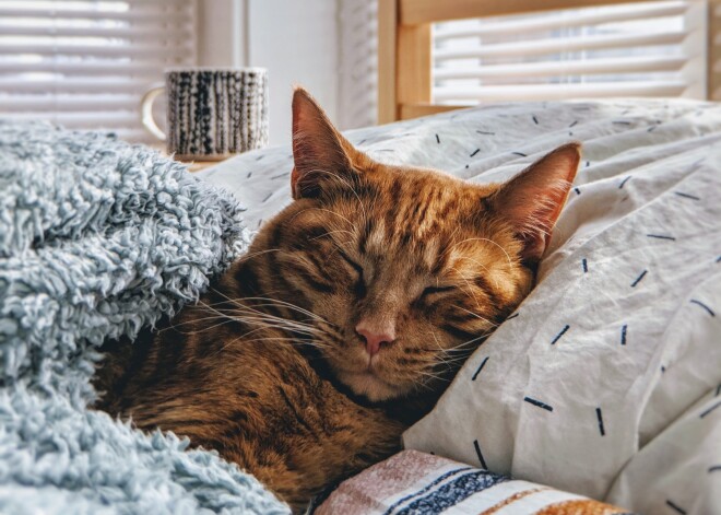 Ja nav būtiska iemesla, šodien labāk no mājās ārā neiet. Horoskops visām zodiaka zīmēm sestdienai, 26. oktobrim