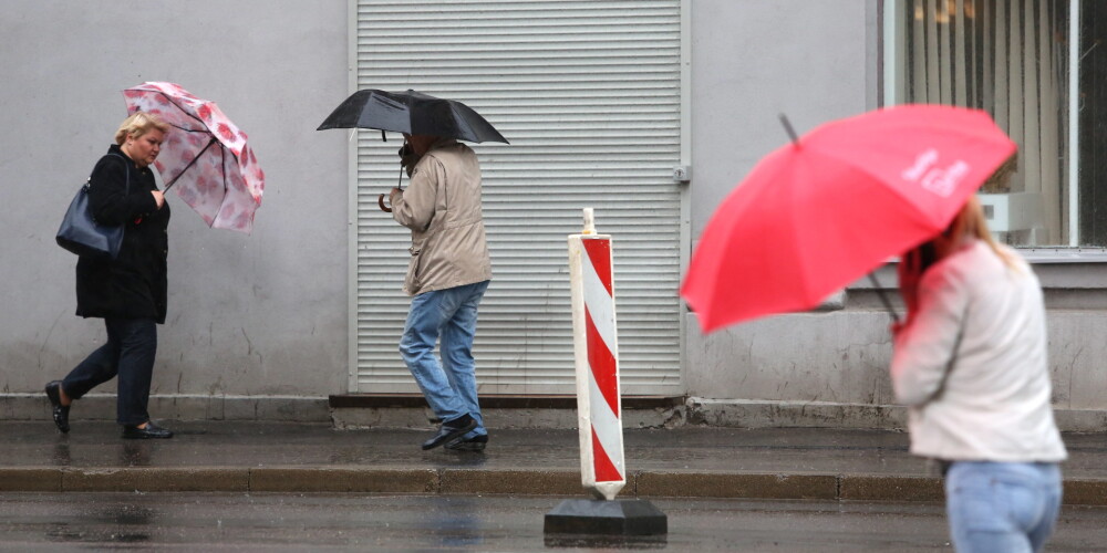 Latvijā paaugstina brīdinājuma līmeni: šodien visā valstī plosīsies vējš, pastāv risks sagaidīt vētru