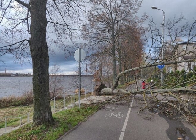 Piedzīvota stiprākā vētra pēdējo 2 gadu laikā - vissmagāk cietusi Vidzeme