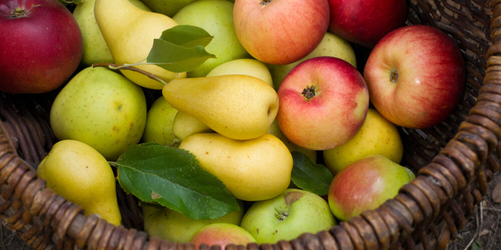 Kā glabāt augļus mājās, ja nav pagraba?