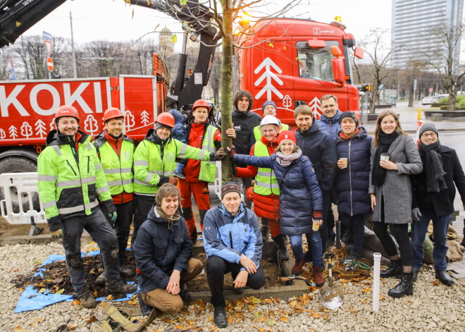 Rīgas domes priekšsēdētājs Oļegs Burovs kopā ar biedrības "Pilsēta cilvēkiem" aktīvistiem Merķeļa un Tērbatas ielas krustojumā, iepretim Vērmanes dārzam, stāda divus 9 metrus augstus Holandes liepu dižstādus.