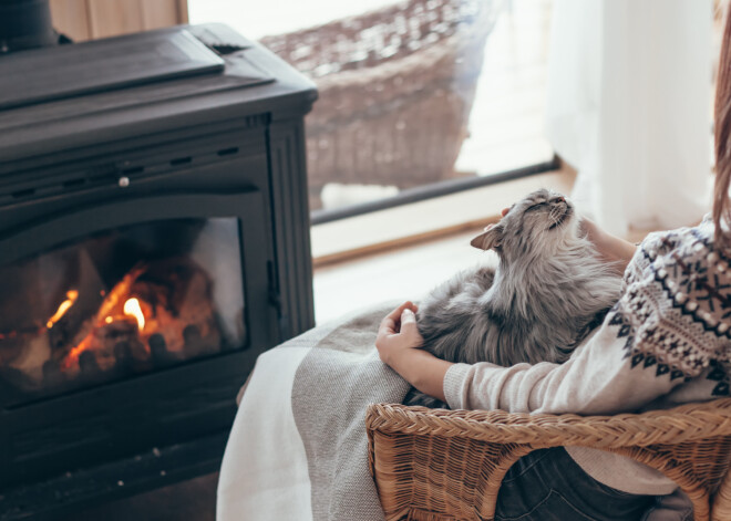 Vērtīgi padomi, kā rudenī ieviest omulību mājās