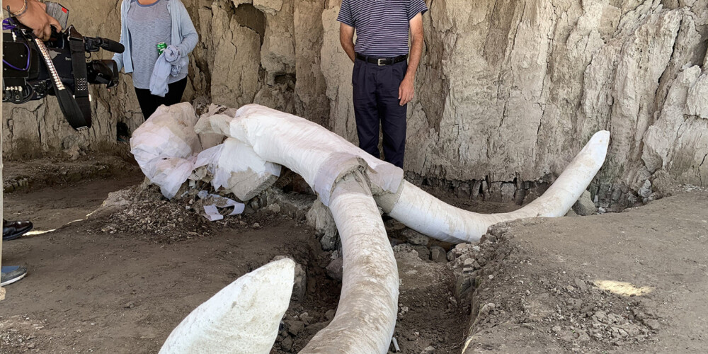 Meksikā atrasts lielākais mamutu skeletu depozīts un pirmās mamutu lamatas