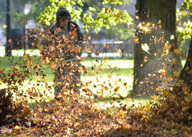 Lapu nodošanas projekta ietvaros līdz šim no iedzīvotājiem savāktas jau 791 tonna lapu