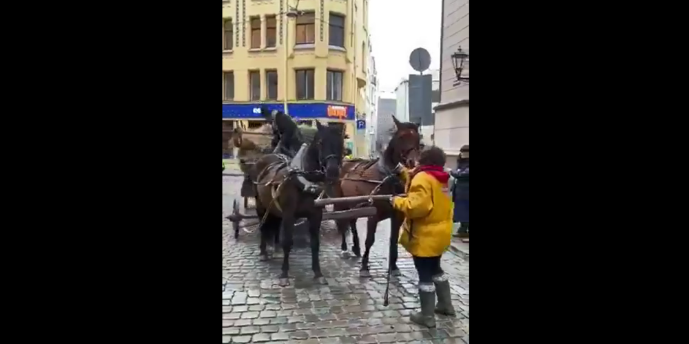 VIDEO: amizants skats! Vietējie tūristiem Vecrīgā māca latviski braukt ar zirgu