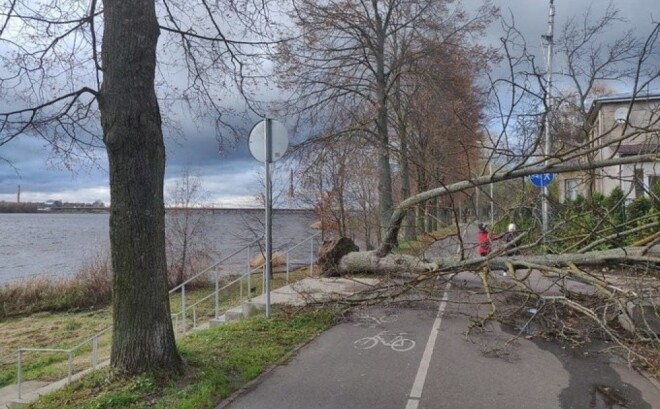 Oktobra beigās Latvijā piedzīvota stiprākā vētra pēdējos divos gados. Neizturēja daudzi koki, tostarp Ķengaraga promenādē.