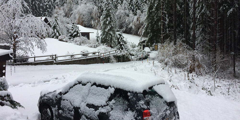 Austrija piedzīvojusi spēcīgu snigšanu; bez elektrības palikušas 9800 mājsaimniecības