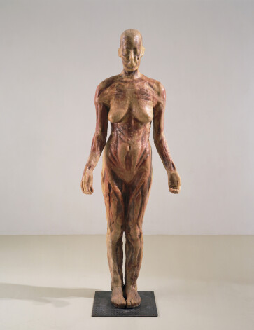 Дева Мария, 1992