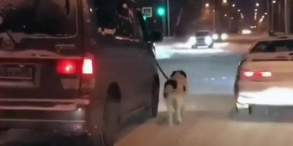 Krievijā nofilmēts nežēlīgs šoferis, kurš savu klibo suni piesējis pie braucošas automašīnas