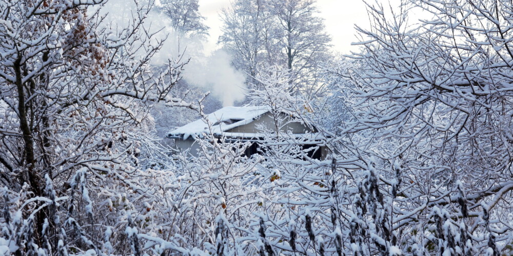 Sniega dziļums vietām Latvijā pārsniedzis desmit centimetrus