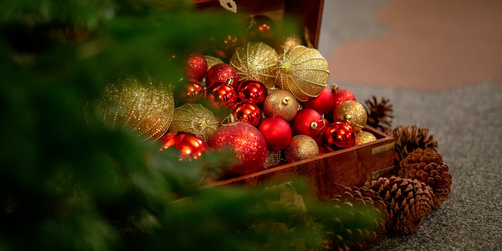 Izpušķota Ziemassvētku egle – Melngalvju nama dāvana rīdziniekiem un pilsētas viesiem