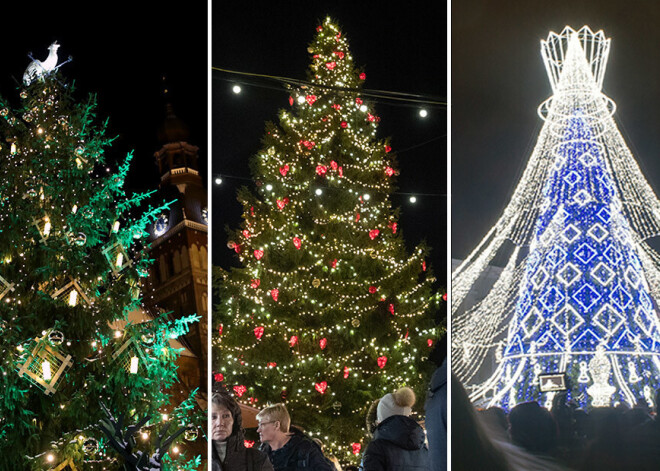 Фото: как выглядит в этом году главная елка в Риге, Вильнюсе и Таллине