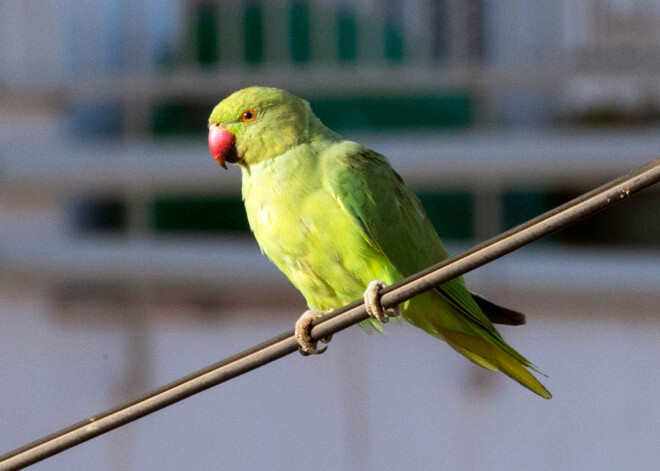 Ja tevi kaut kas neapmierina, neklusē! Dienas horoskops visām zīmēm 10. decembrim
