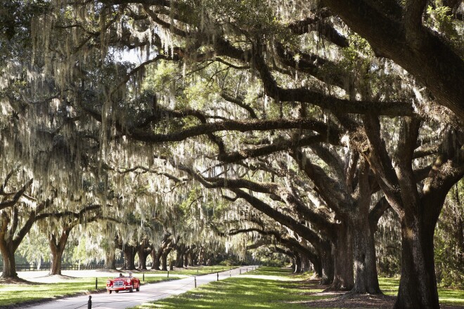 “Boone Hall” plantācijā Čarlstonā, Dienvidkarolīnā.