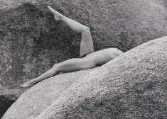 Лиза Лион, 1980