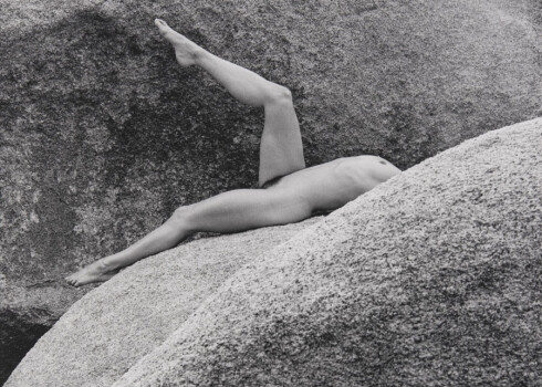 Лиза Лион, 1980