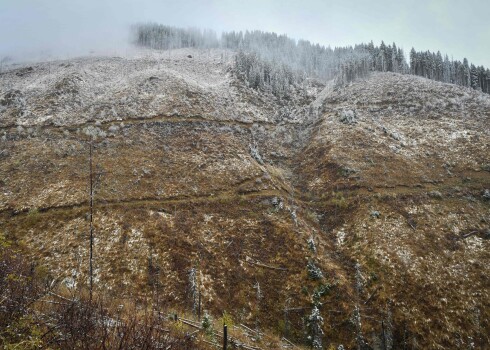 Nelegālie mežcirtēji ir pilnībā noskuvuši Fagaras kalnus Rumānijas vidienē.