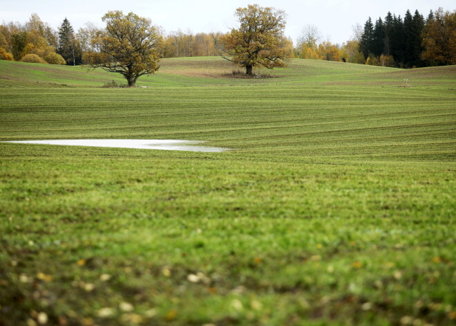 Nākamgad pašvaldību izlīdzināšanai paredzēti 280,3 miljoni eiro