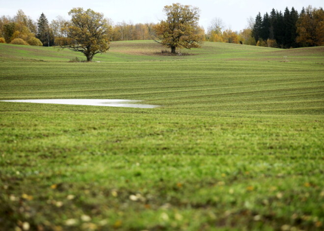 В следующем году фонд выравнивания финансов самоуправлений составит 280,3 млн евро