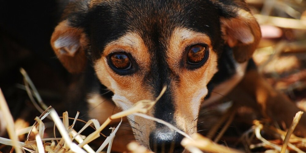 Иллюстративное фото