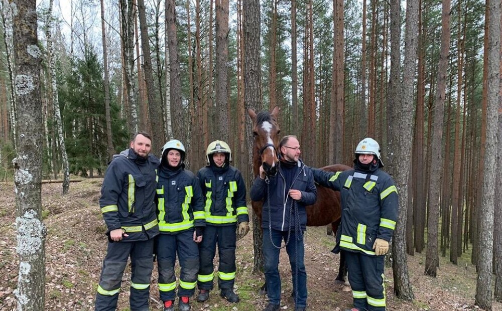 Ikšķiles novadā VUGD darbinieki izglābj zirgu