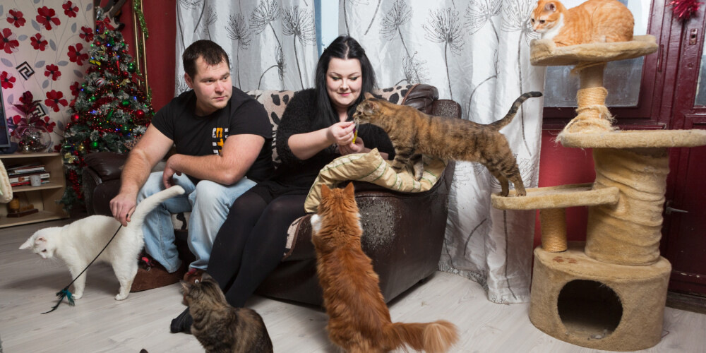 Visa dzīve priekš kaķiem! Martai un Jānim trīsistabu dzīvoklī Mežciemā mīt 18 kaķi