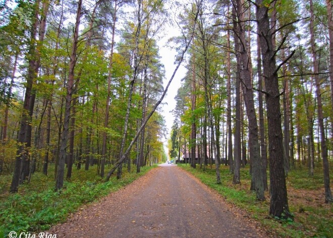 Anniņmuižā uzdarbojies laupītājs ar āmuru