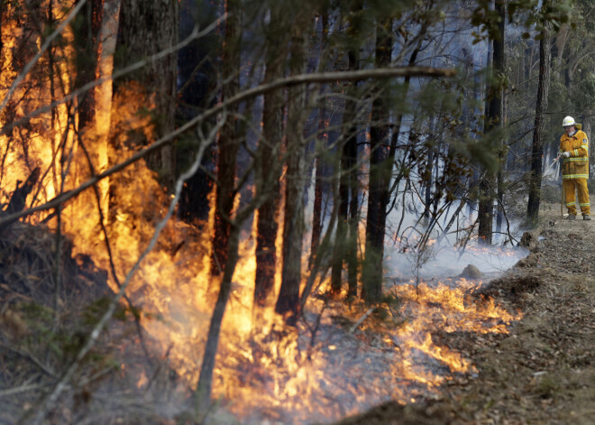 Valdība lems par 50 000 eiro piešķiršanu ugunsgrēkos cietušajiem Austrālijā