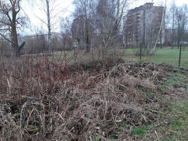 Mitraine-purvājs Daugavpils centrā, kuru plāno izveidot par „Purva Disnejlendu” un pievienot Latgales Zooloģiskajam dārzam.