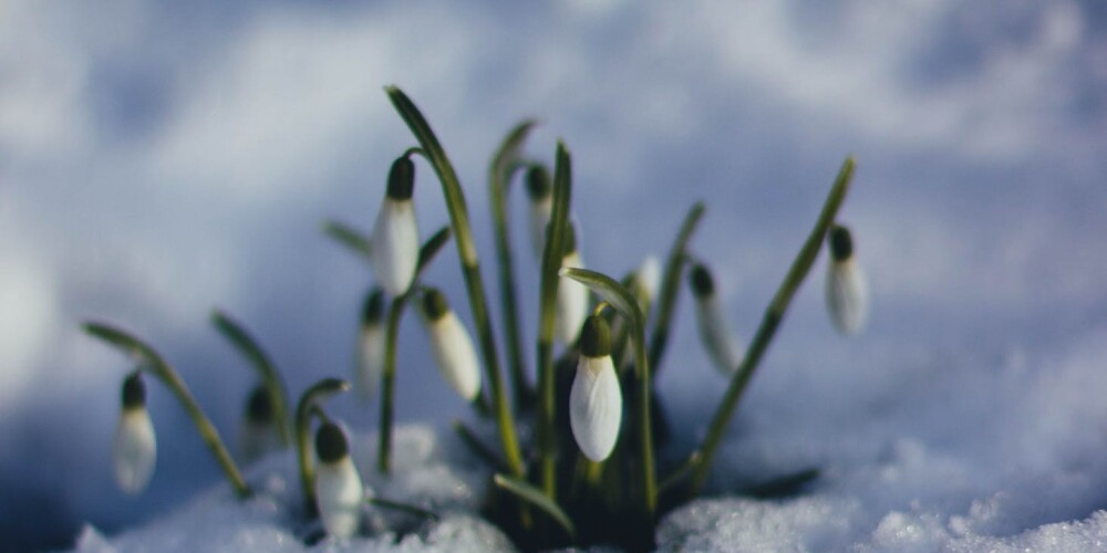 Сегодняшняя погода расскажет о наступлении весны: обычаи и приметы на  24 января
