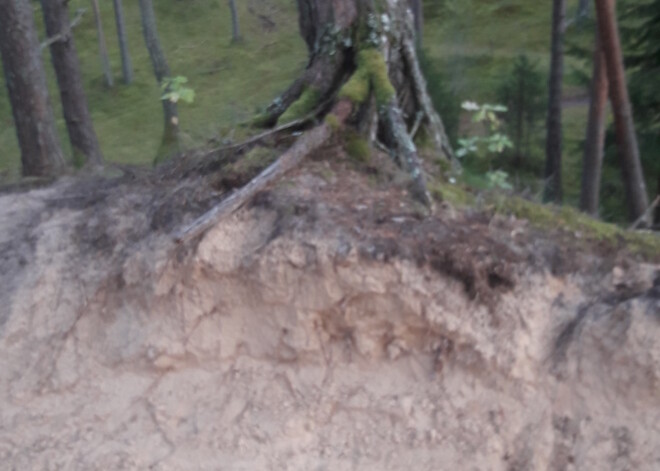 Izrādās, ka Latvijā jau gadiem valda situācija, kurā motociklisti, ignorējot likumu, izbraukā mežu teritorijas, kamēr tie, kuriem ir pienākums tās aizsargāt, faktiski to nespēj. Par motociklu trasi pārvērsta ir arī teritorija blakus Ložmetējkalnam – apvidus, kur savulaik notikušas Ziemassvētku kaujas.